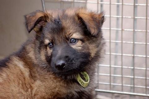 Fotos/2009week5/week6/Anouk van der Zee (34).jpg