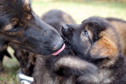 Fotos/2009week5/week6/Anouk van der Zee (44).jpg