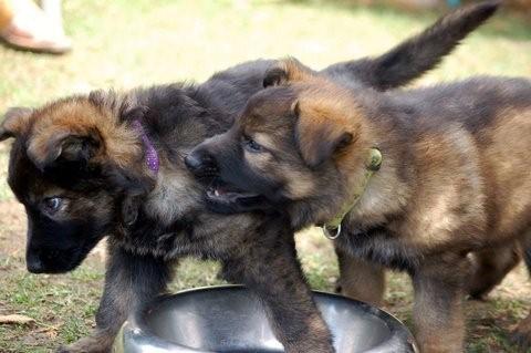 Fotos/2009week5/week6/Anouk van der Zee (46).jpg