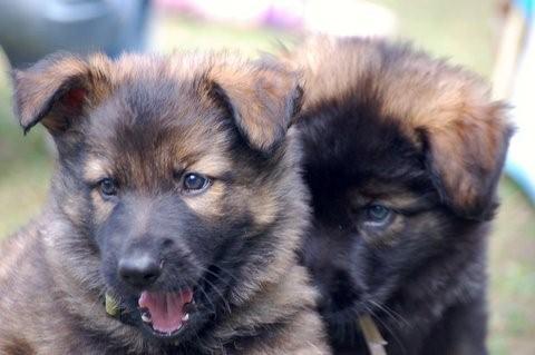 Fotos/2009week5/week6/Anouk van der Zee (49).jpg