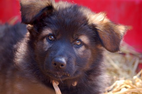 Fotos/2009week5/week7/Anouk van der Zee (17).JPG