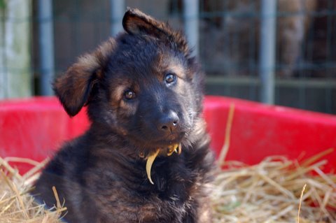 Fotos/2009week5/week7/Anouk van der Zee (20).JPG