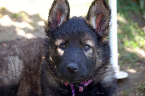 Fotos/2009week5/week7/Anouk van der Zee (24).JPG