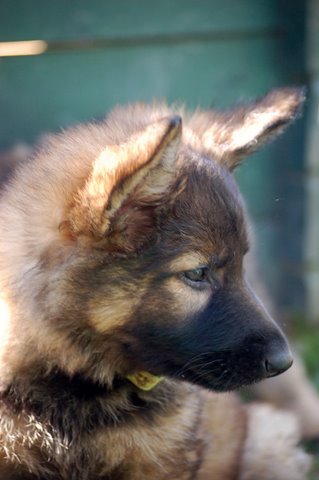 Fotos/2009week5/week7/Anouk van der Zee (26).JPG