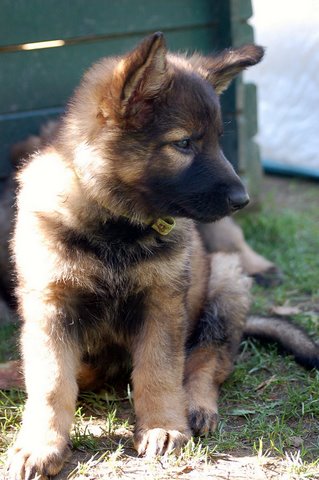 Fotos/2009week5/week7/Anouk van der Zee (27).JPG