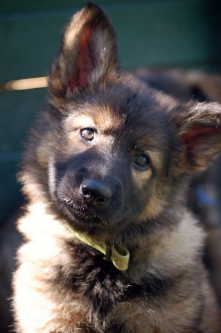 Fotos/2009week5/week7/Anouk van der Zee (28).JPG