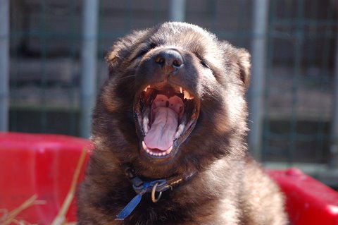 Fotos/2009week5/week7/Anouk van der Zee (3).JPG