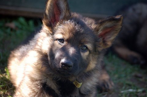 Fotos/2009week5/week7/Anouk van der Zee (32).JPG