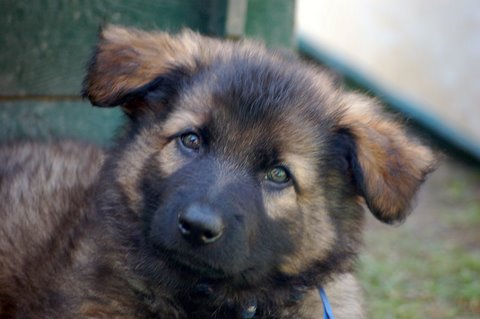 Fotos/2009week5/week7/Anouk van der Zee (34).JPG