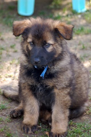 Fotos/2009week5/week7/Anouk van der Zee (37).JPG