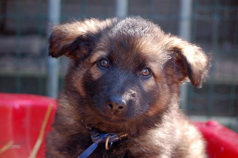 Fotos/2009week5/week7/Anouk van der Zee (4).JPG