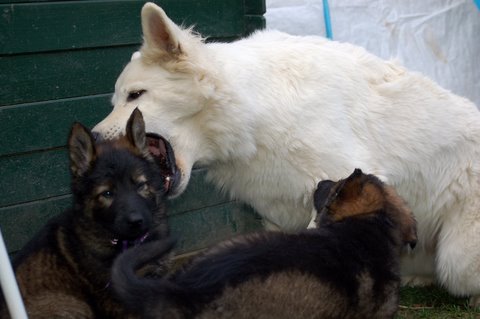 Fotos/2009week5/week7/Anouk van der Zee (41).JPG