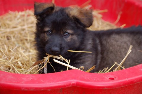 Fotos/2009week5/week7/Anouk van der Zee (47).JPG