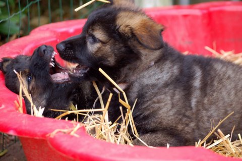 Fotos/2009week5/week7/Anouk van der Zee (55).JPG