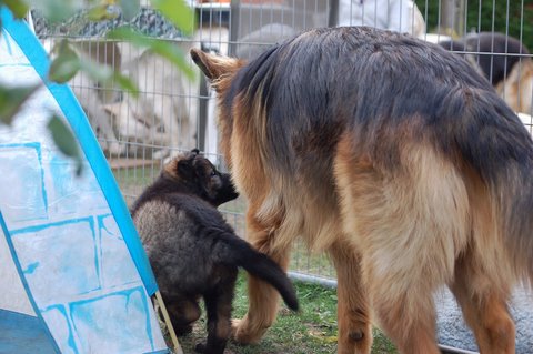 Fotos/2009week5/week7/Anouk van der Zee (66).JPG