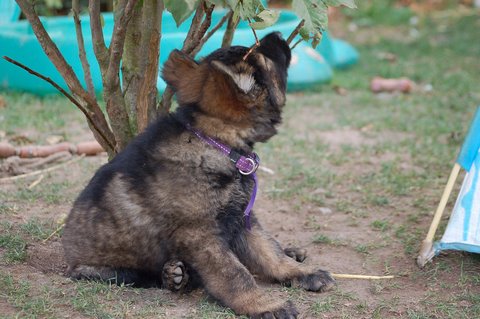 Fotos/2009week5/week7/Anouk van der Zee (68).JPG