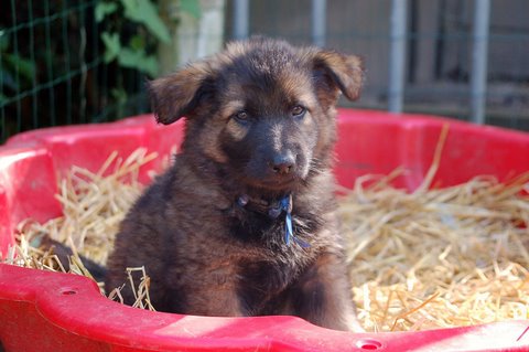 Fotos/2009week5/week7/Anouk van der Zee (7).JPG