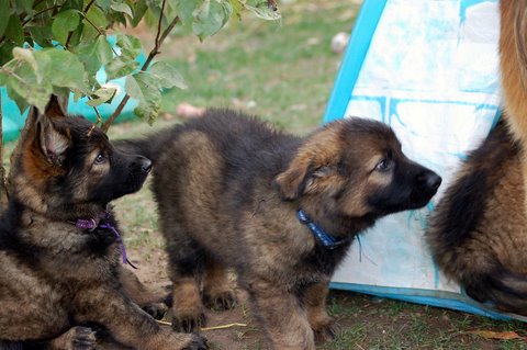 Fotos/2009week5/week7/Anouk van der Zee (70).JPG