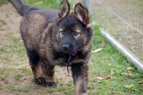 Fotos/2009week5/week7/Anouk van der Zee (71).JPG