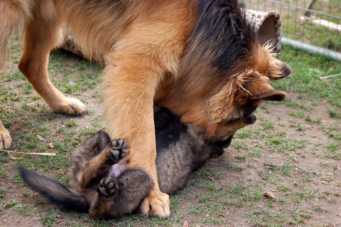 Fotos/2009week5/week7/Anouk van der Zee (72).JPG