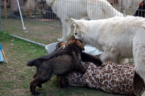 Fotos/2009week5/week7/Anouk van der Zee (74).JPG