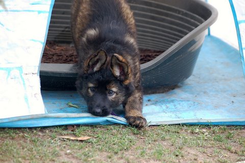 Fotos/2009week5/week7/Anouk van der Zee (77).JPG