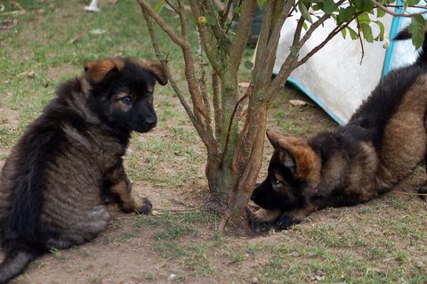 Fotos/2009week5/week7/Anouk van der Zee (79).JPG