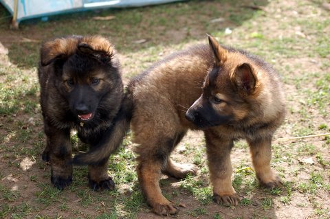 Fotos/2009week5/week7/Anouk van der Zee (92).JPG