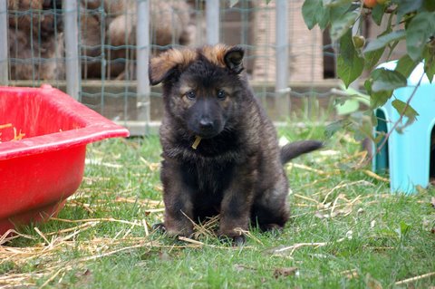 Fotos/2009week5/week7/Anouk van der Zee (97).JPG