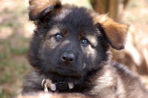 Fotos/2009week5/week7/Anouk van der Zee (98).JPG