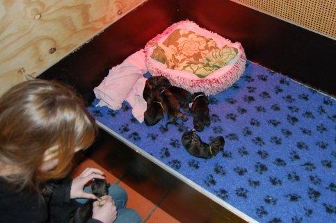 Fotos/2011E-nestAzra/Geboorte/DSC_0237.jpg