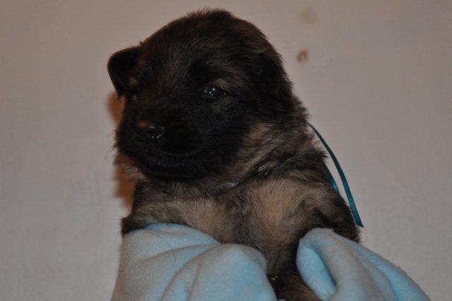 Fotos/2011 Taylor/week2/turkoois.jpg