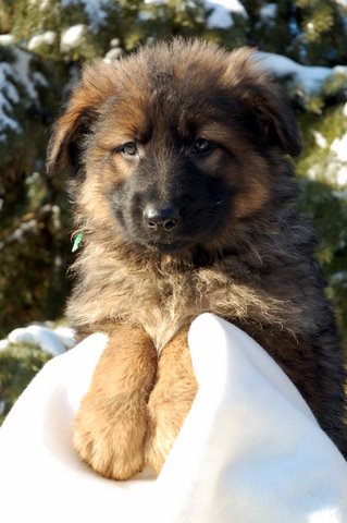 Fotos/2011 Taylor/week7/DSC_0267.JPG