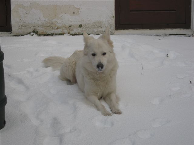 Fotos/Fennah/Etienne/feb2012/IMG_1153.JPG