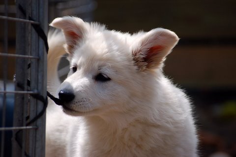 Fotos/Inuk/DSC_3041.JPG