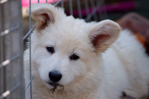 Fotos/Inuk/DSC_3056.JPG