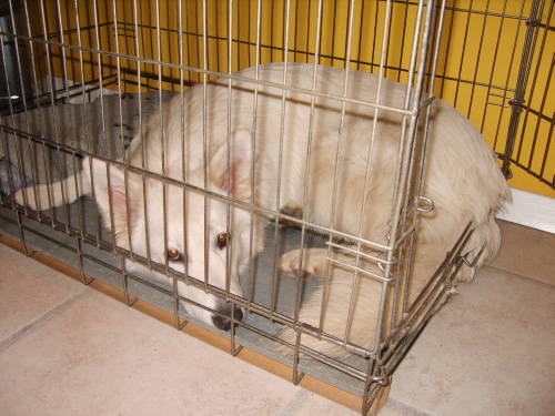 Fotos/Inuk/Foto-MBMACBMP.jpg