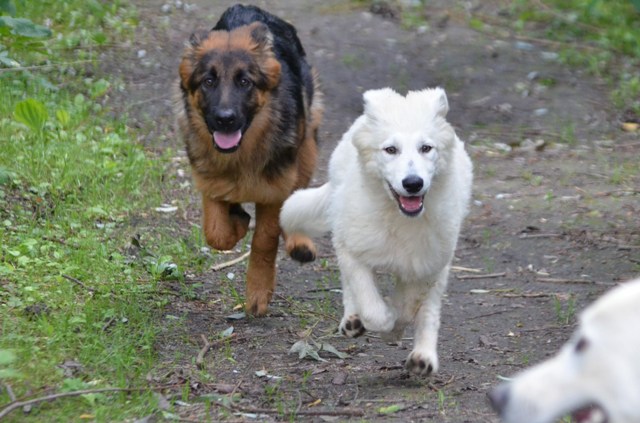 Fotos/Kaitlyn/Anouk van der Zee (164).JPG