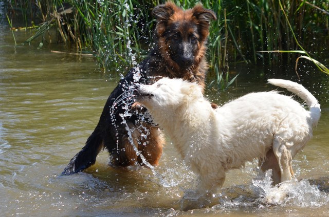 Fotos/Kaitlyn/Anouk van der Zee (165).JPG