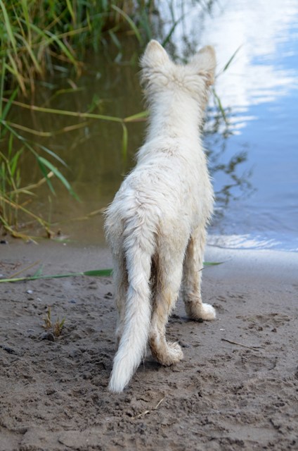 Fotos/Kaitlyn/Anouk van der Zee (181).JPG