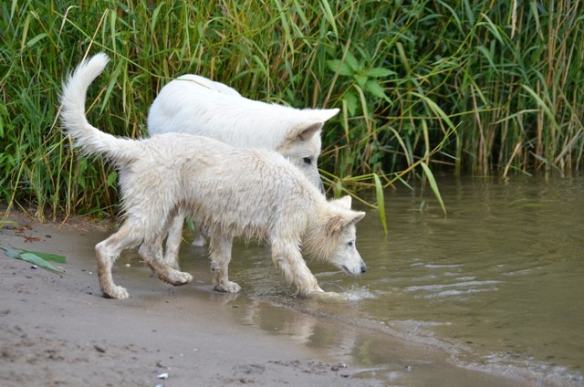 Fotos/Kaitlyn/Anouk van der Zee (187).JPG