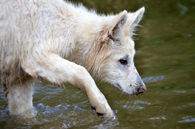Fotos/Kaitlyn/Anouk van der Zee (217).JPG