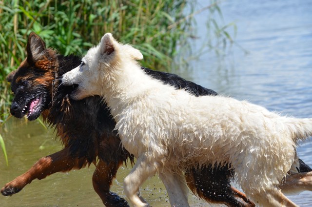 Fotos/Kaitlyn/Anouk van der Zee (239).JPG