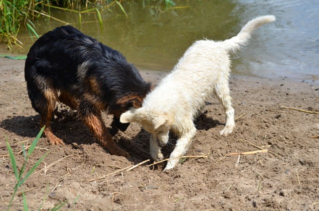 Fotos/Kaitlyn/Anouk van der Zee (249).JPG