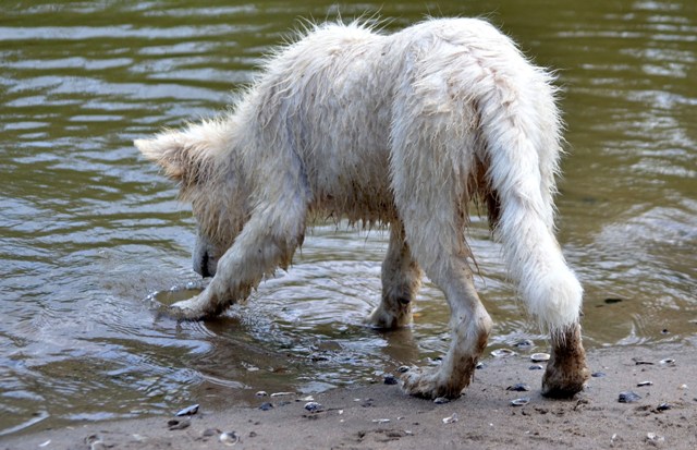 Fotos/Kaitlyn/Anouk van der Zee (63).JPG