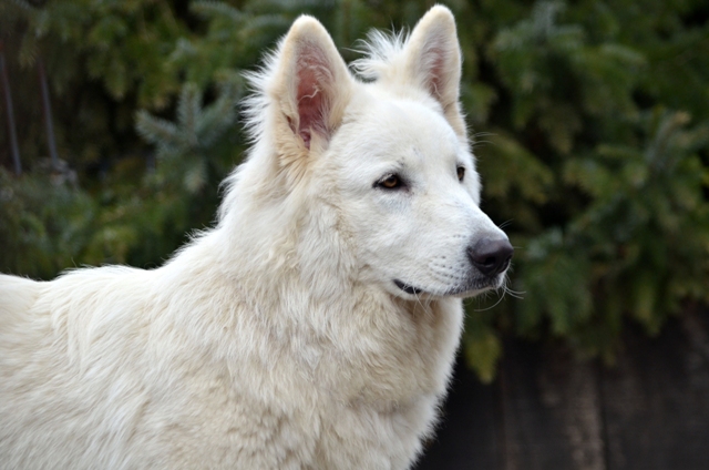 Fotos/Liam/februari 2011/Anouk van der Zee (11).JPG