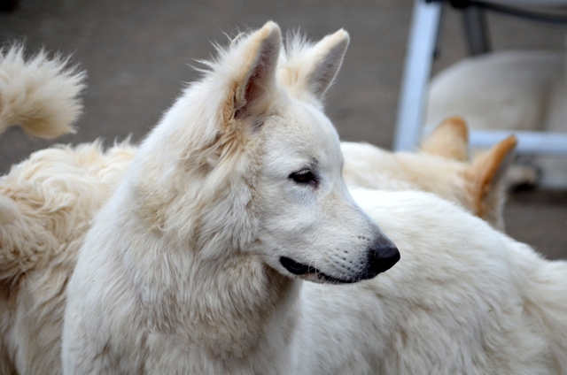 Fotos/Liam/februari 2011/Anouk van der Zee (12).JPG