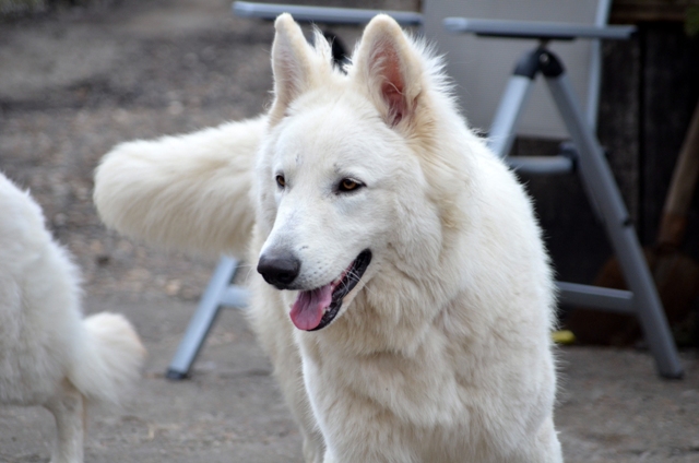 Fotos/Liam/februari 2011/Anouk van der Zee (6).JPG