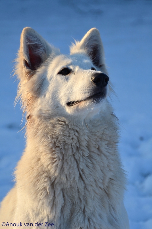 Fotos/Lucy/DSC_7480 - kopie.JPG