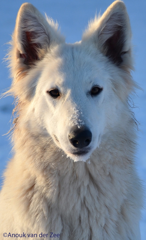 Fotos/Lucy/DSC_7481 - kopie.JPG